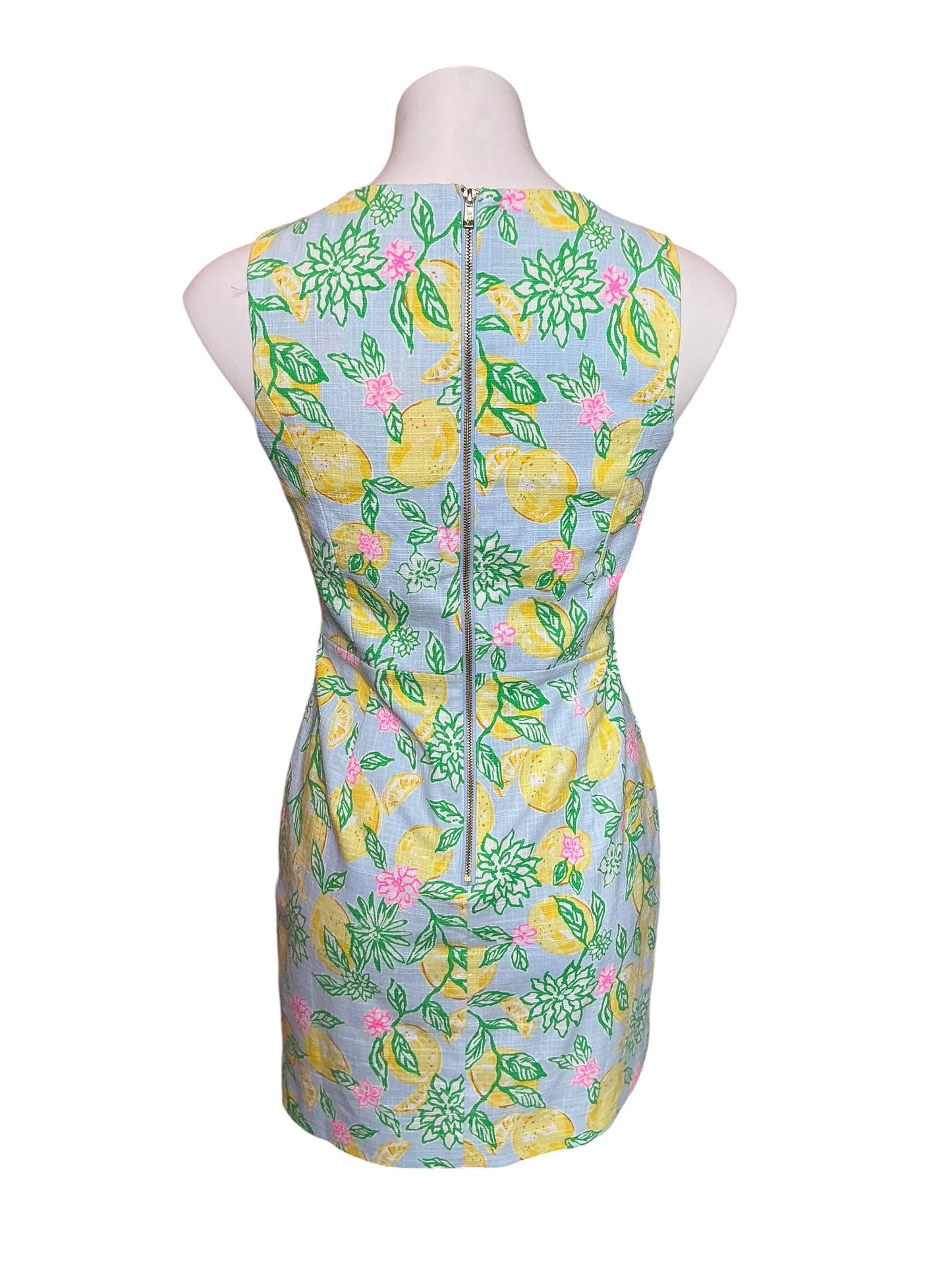 Lilly Pulitzer Caylinn Sleeveless Popover Dress Honeycomb Pigment Printed Secret Stripe - Size 0
