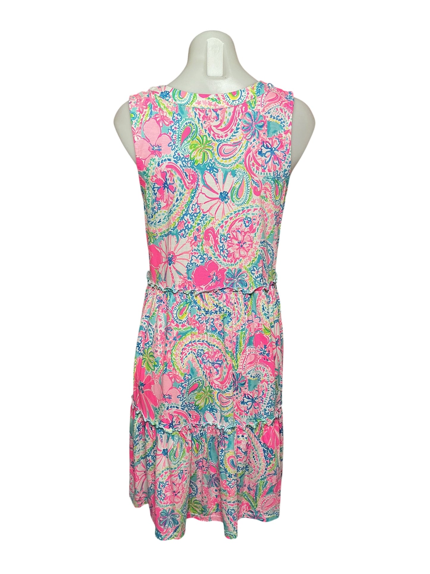 Lilly Pulitzer Lorina Swing Dress Flock Full of Fun - Size S