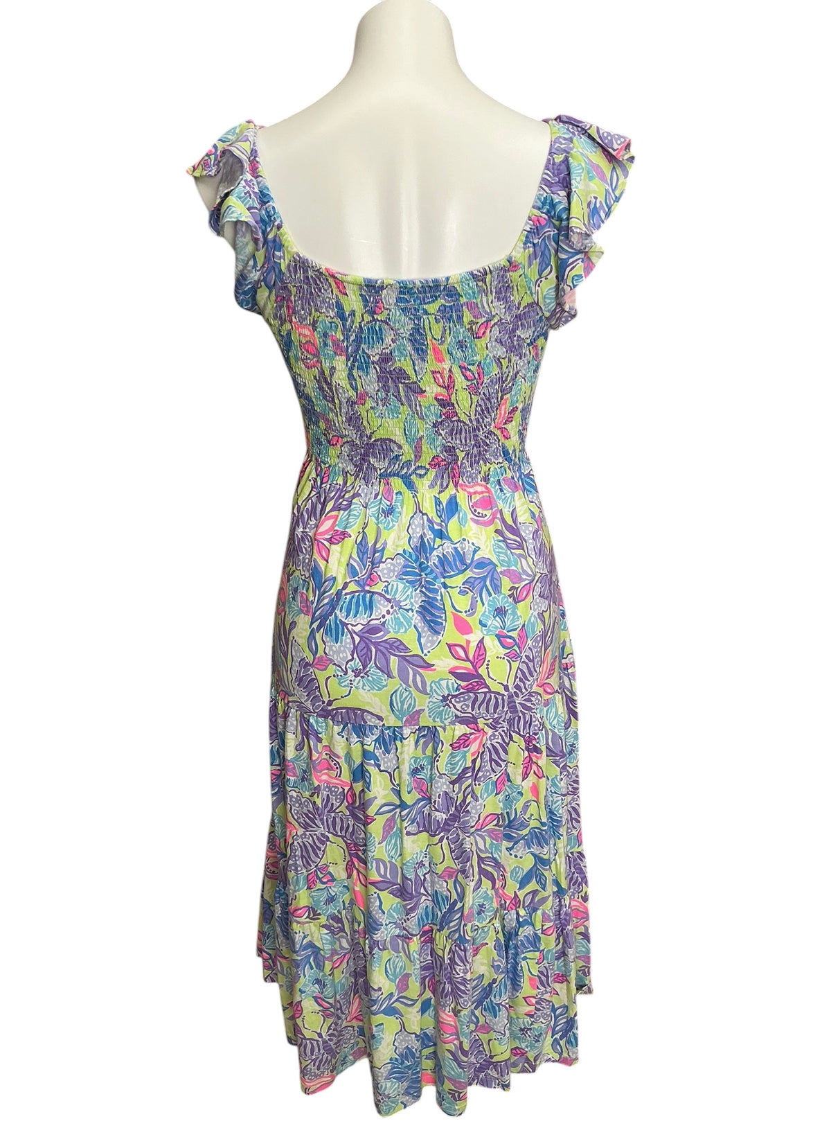 Lilly Pulitzer Jilly Smocked Midi Dress Dew Drop Stay Fly - Size S