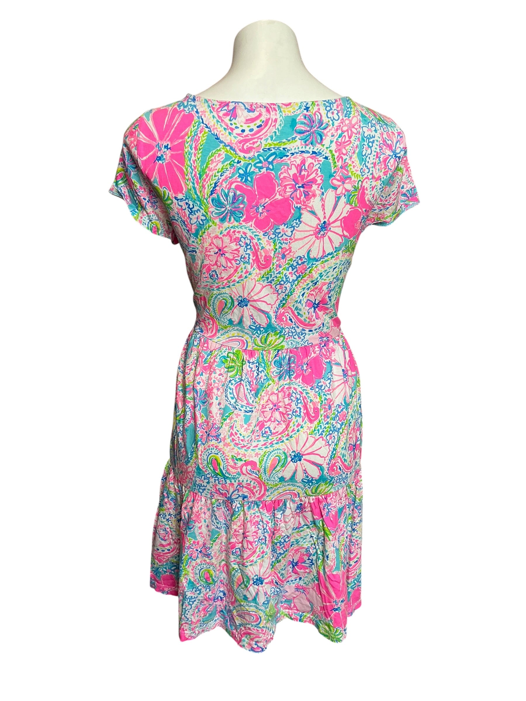 Lilly Pulitzer Geanna Short Sleeve Swing Dress Flock Full of Fun - Size XL