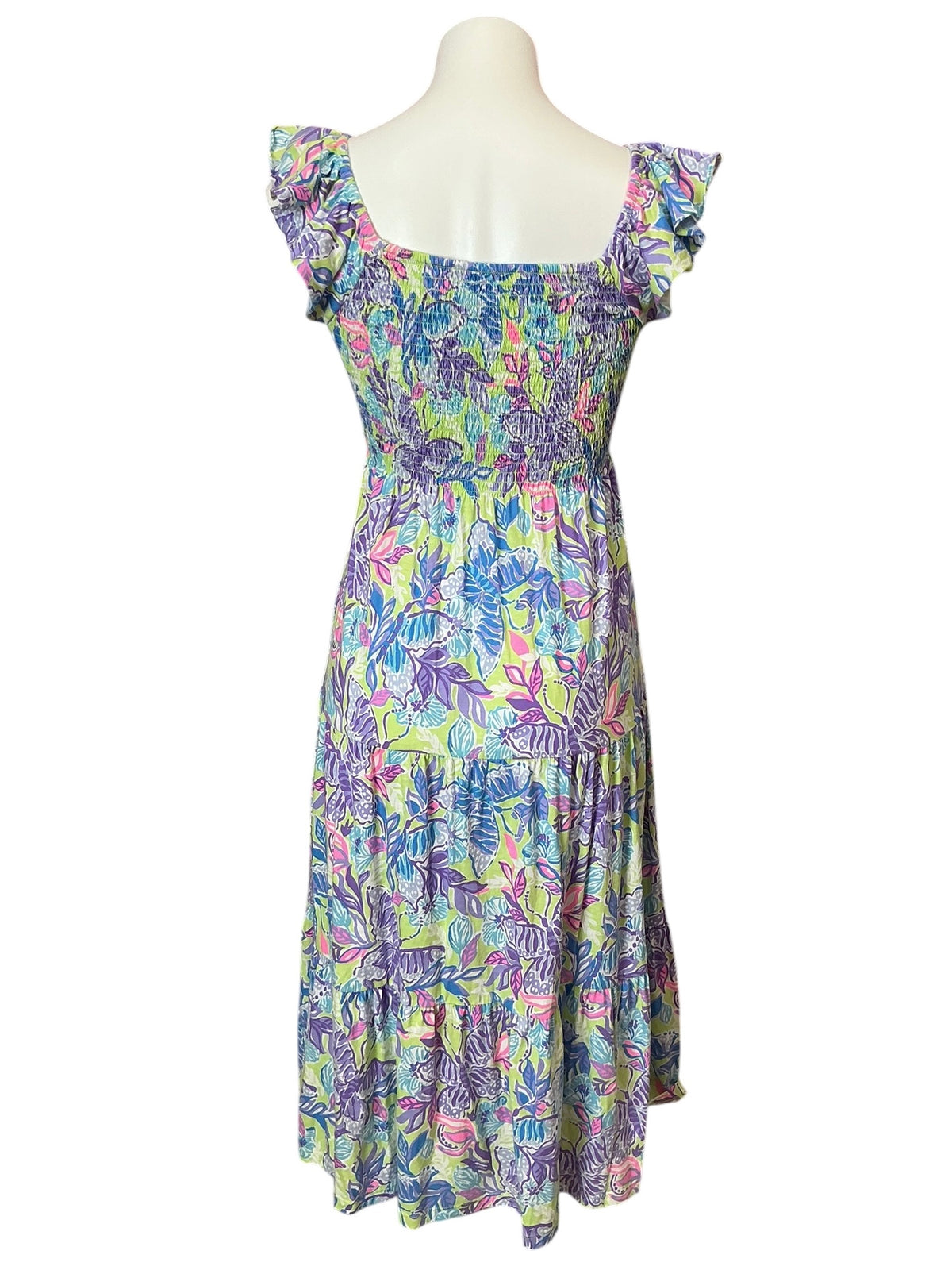 Lilly Pulitzer Jilly Smocked Midi Dress Dew Drop Stay Fly - Size XS