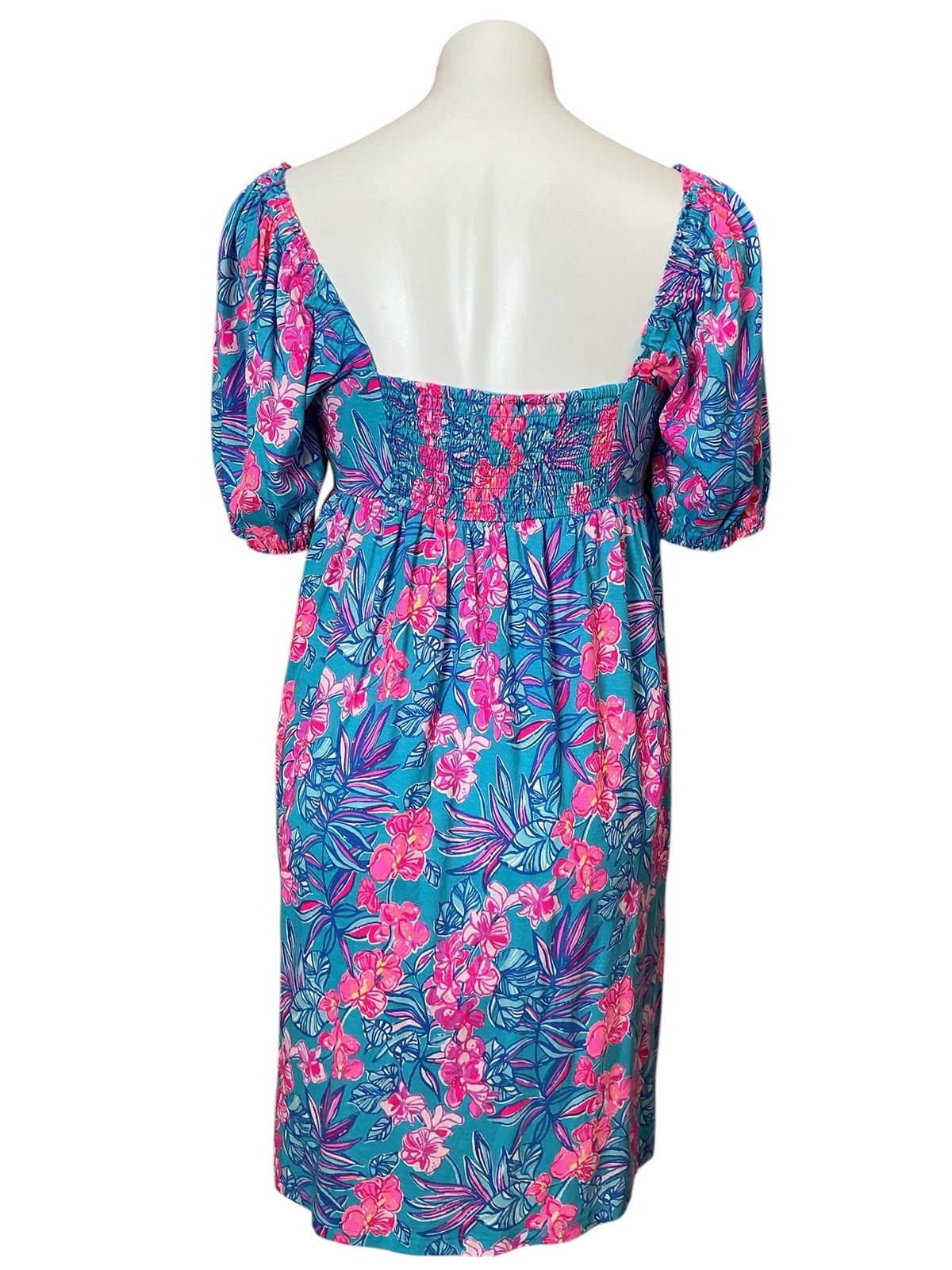 Lilly Pulitzer Delaney Short Sleeve Dress Cumulus Blue Orchid Oasis - Size 6