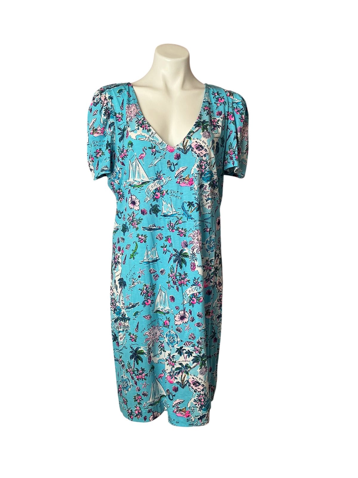 Lilly Pulitzer Aleece T-Shirt Dress Amalfi Blue Lilly's Roadtrip - Size XL