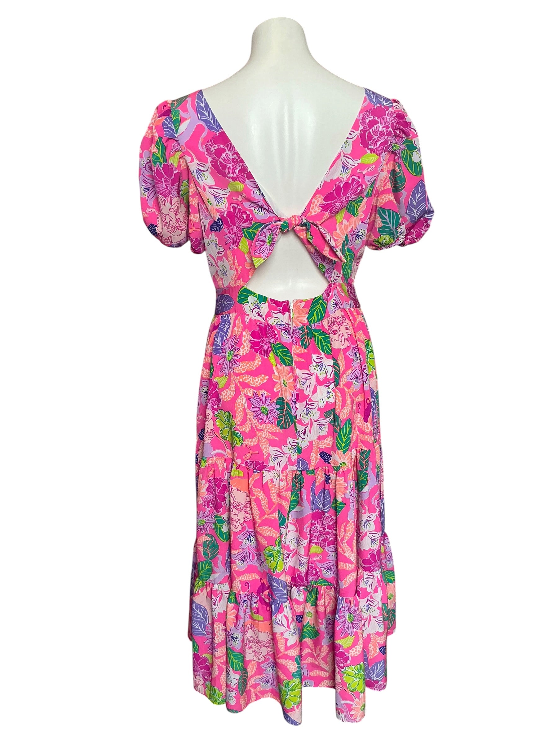 Lilly Pulitzer Grace Tiered Fit & Flare Midi Dress Best of Friends - Size 10