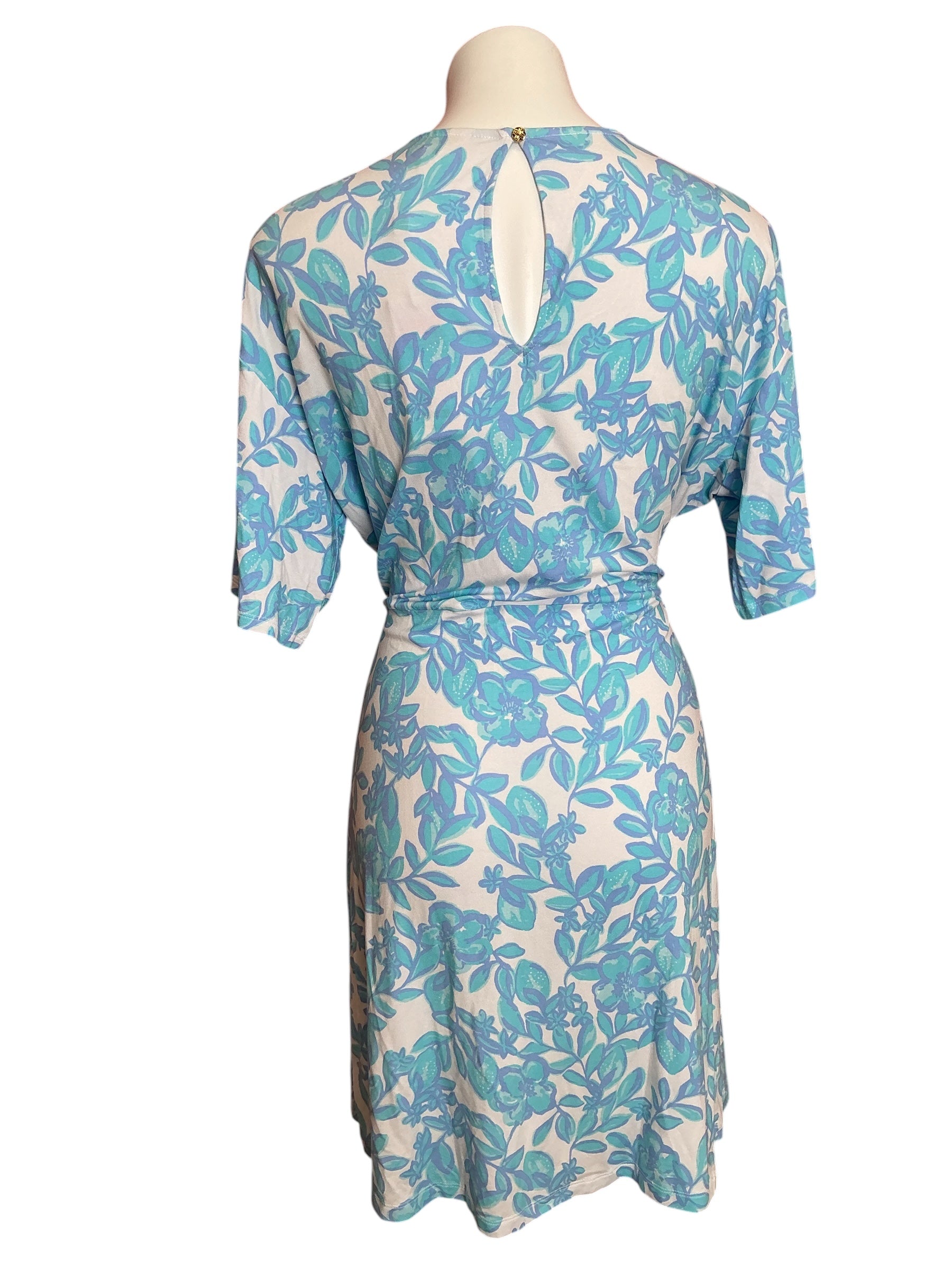 Lilly Pulitzer NWT Shaw Dress Jacaranda Blue Simply The Zest - Size L