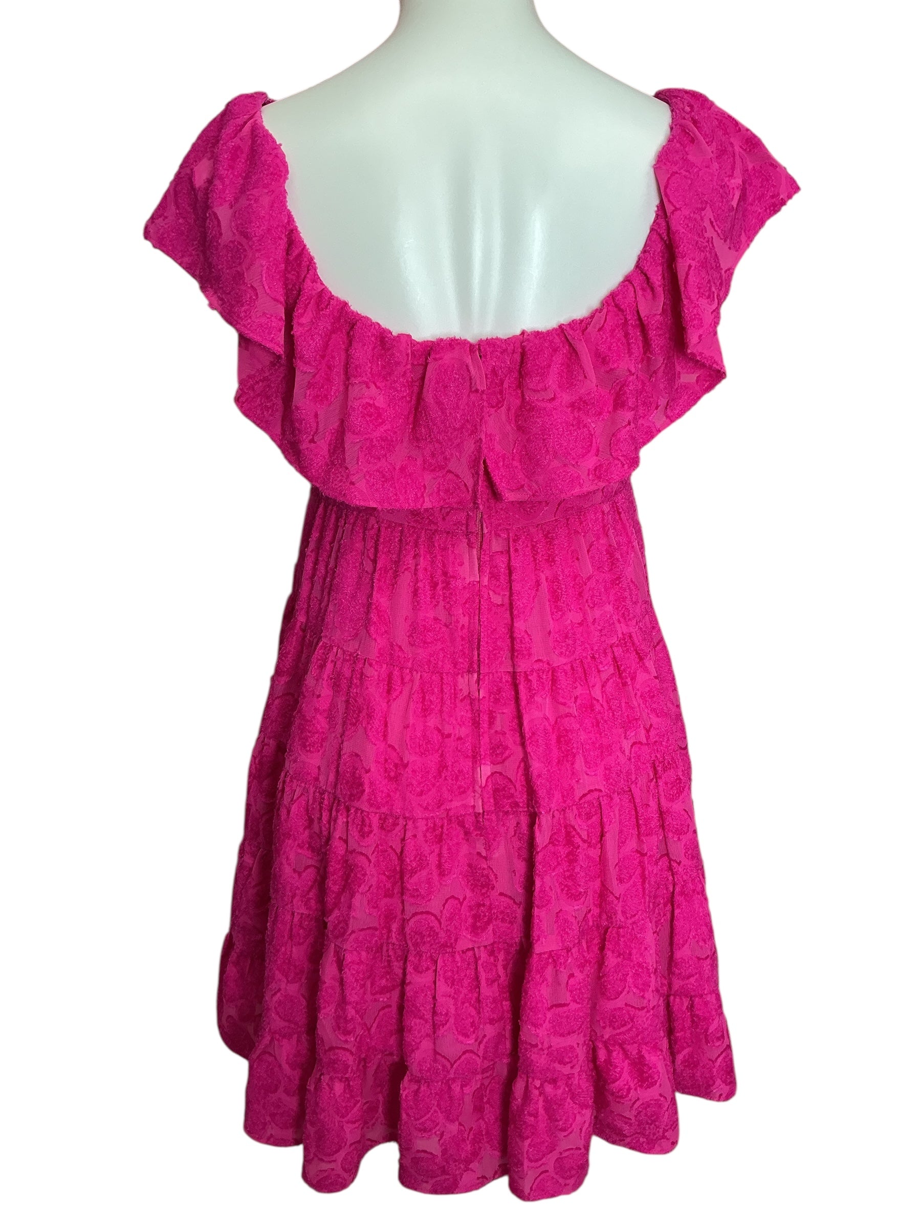Lilly Pulitzer Emie Ruffle Trim Swing Dress Chenille Chip Chiffon - Size S