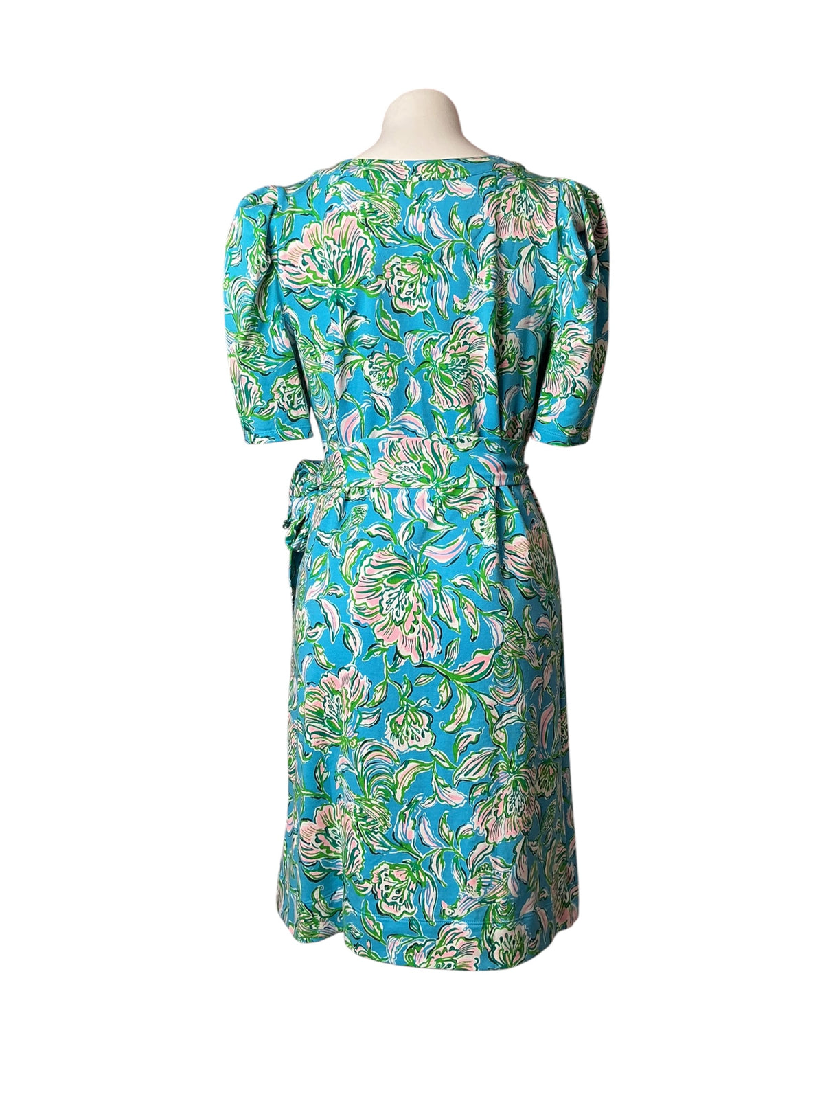 Lilly Pulitzer NWT Harriet Elbow Sleeve Dress Cumulus Blue Chick Magnet Engineered - Size M