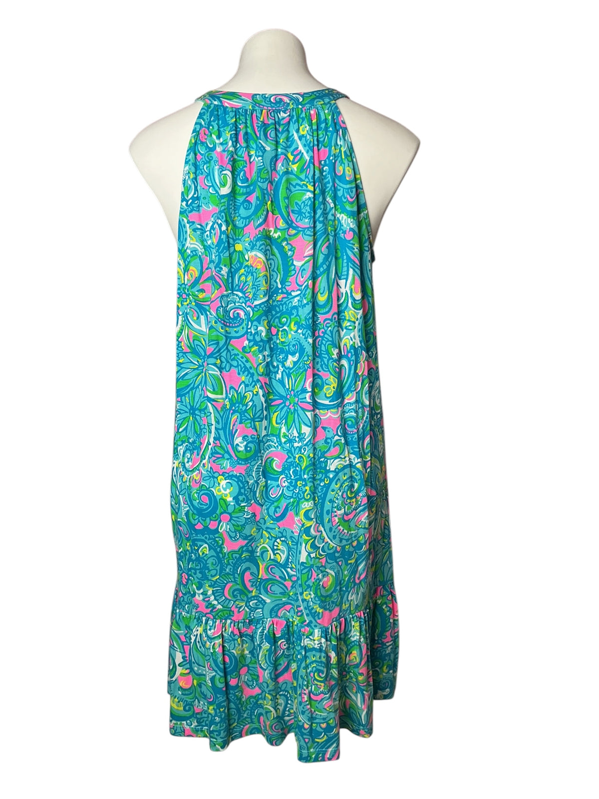 Lilly Pulitzer Danberry Dress Seabreeze Blue Hey Gull Friend - Size M
