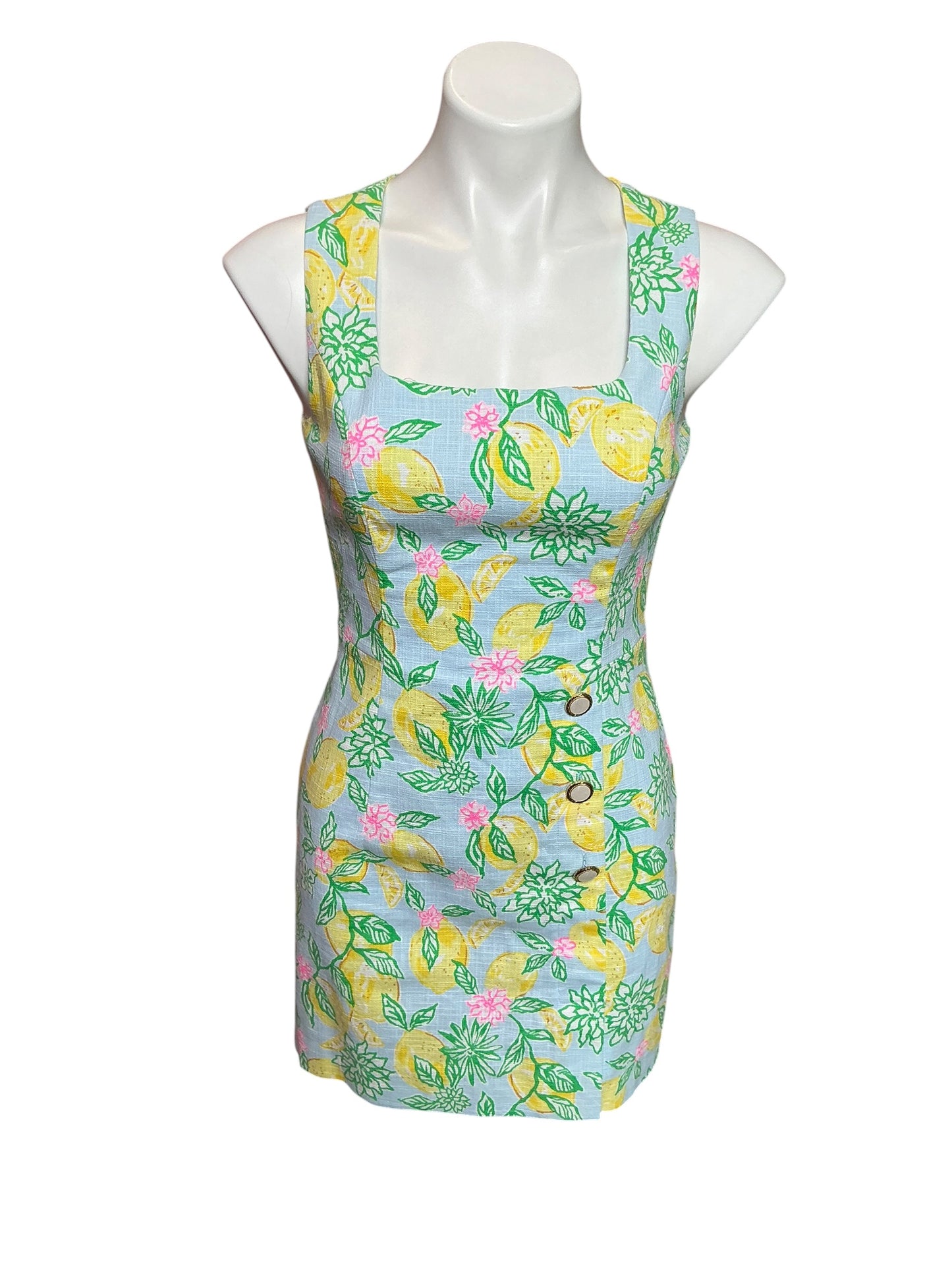 Lilly Pulitzer Caylinn Sleeveless Popover Dress Honeycomb Pigment Printed Secret Stripe - Size 0