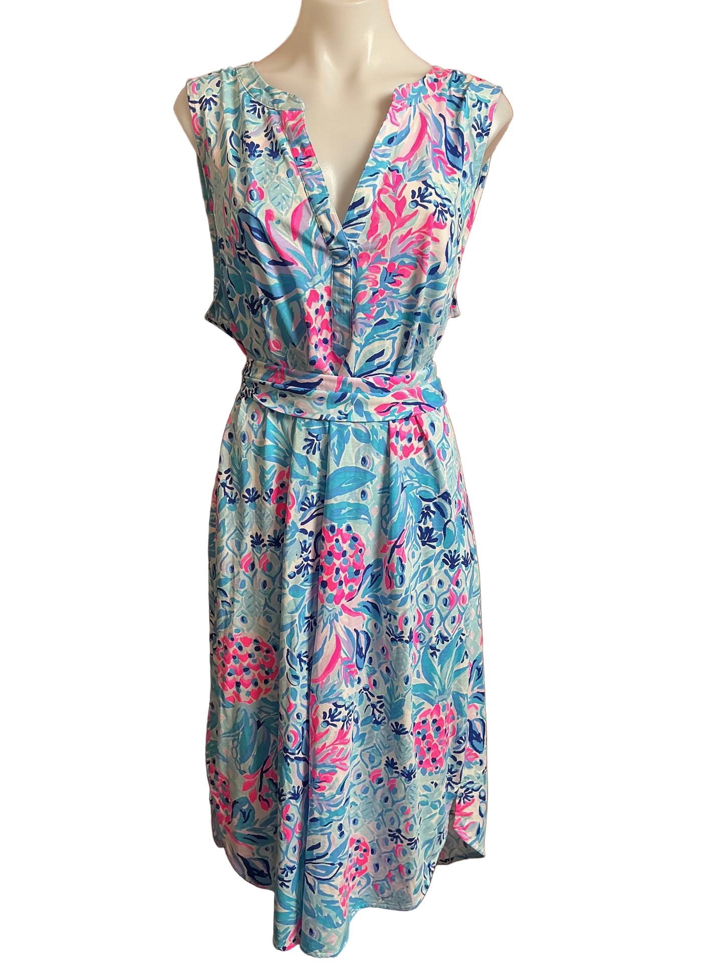 Lilly Pulitzer Dress - Size XL