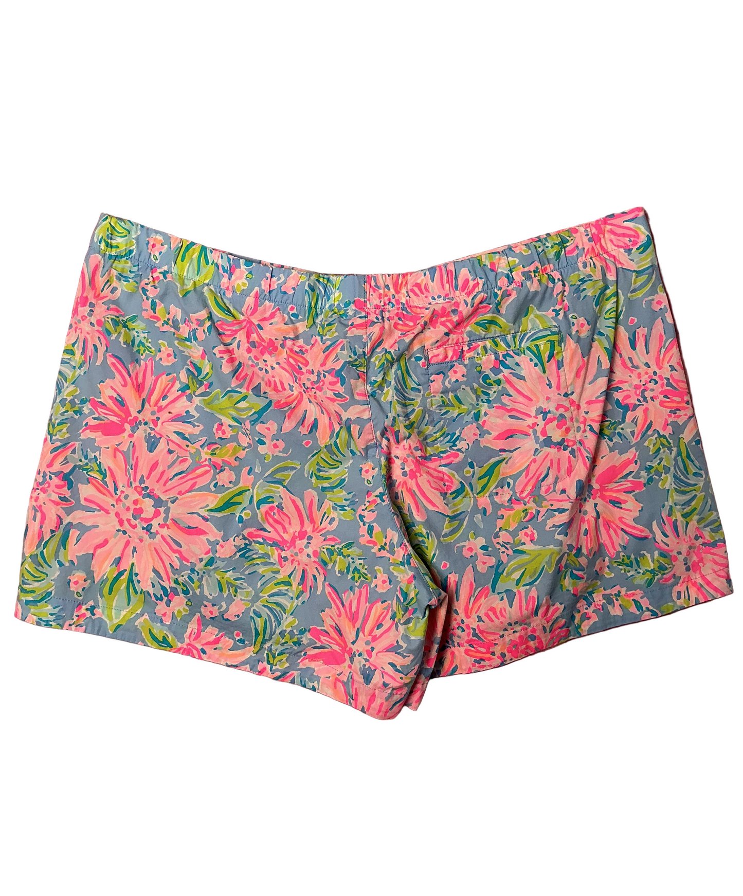 Lilly Pulitzer Shorts - Size XL